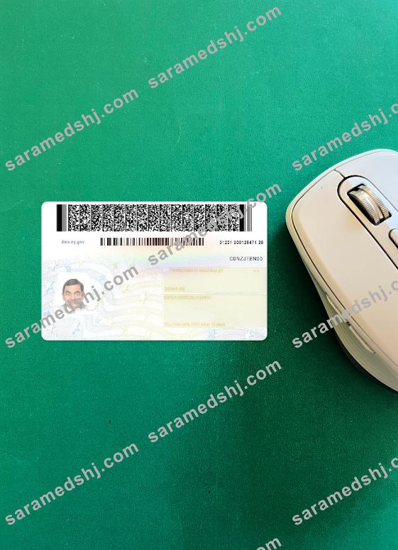 New York driving license version 2 photolook back